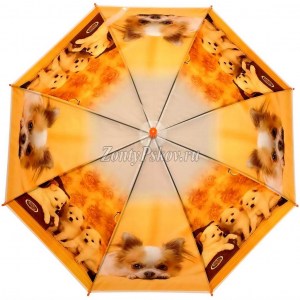 Яркий детский зонт с собаками, Zicco, полуавтомат, арт.105-2